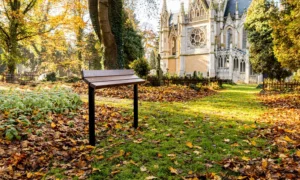 Sentadilla urbana Midas