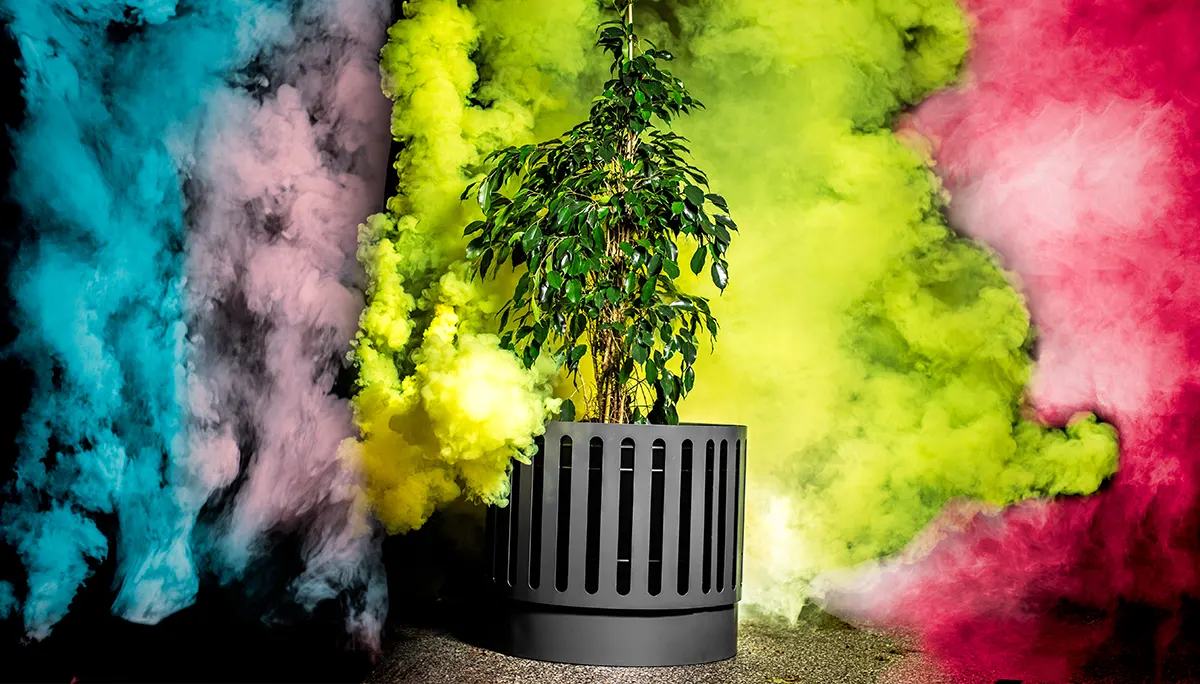 ¡Un torbellino de colores!