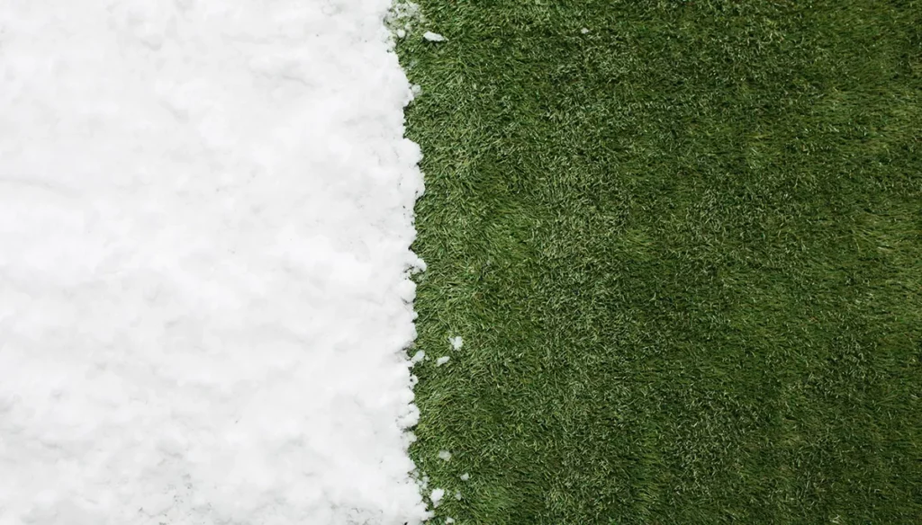 Se acerca la primavera …