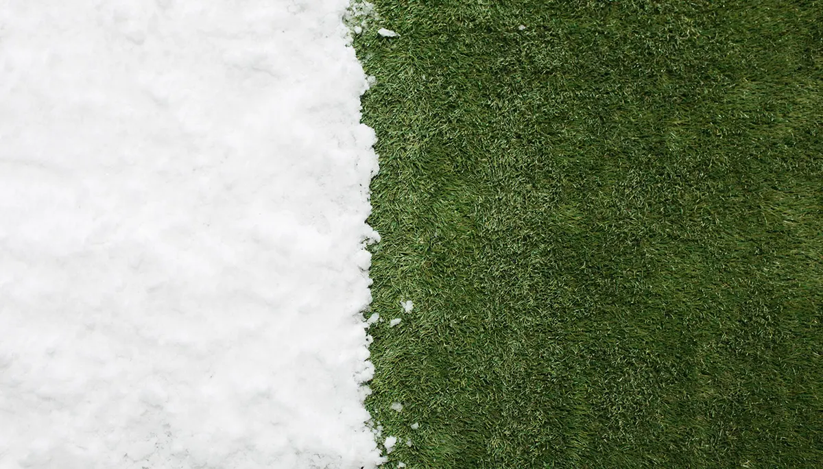 Se acerca la primavera …