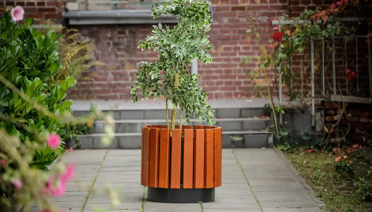 Maceta urbana perfectamente adaptada!