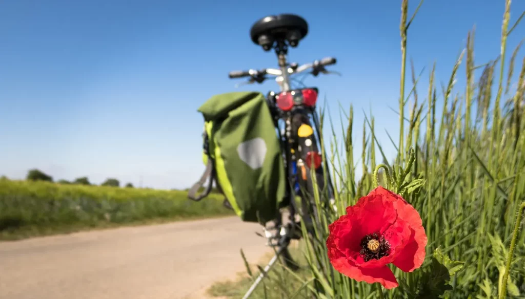 ¡Montar en bicicleta – una combinación de actividad y relajación!