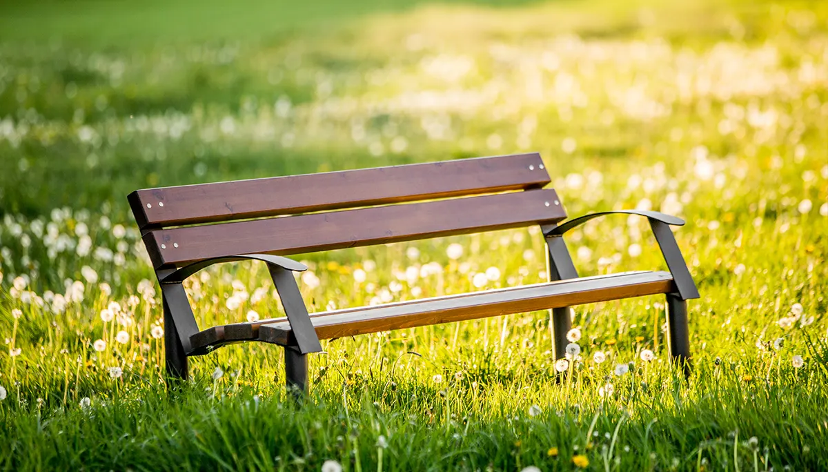 Recreación al aire libre - la cura universal