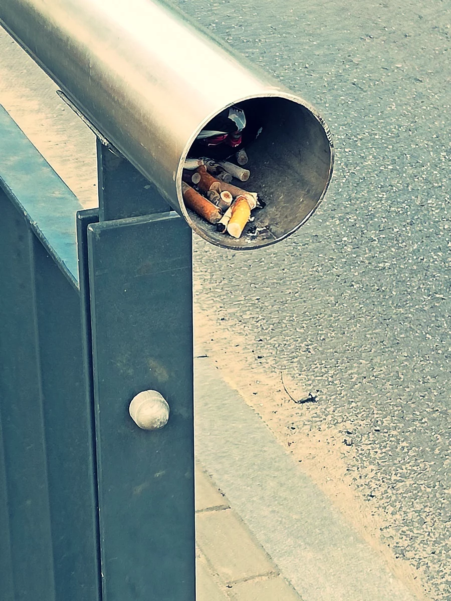 Ceniceros urbanos – ¿las necesitamos?