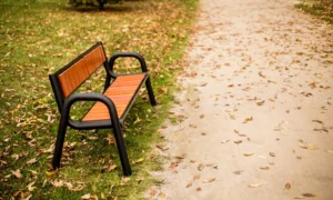 Banco Spartan Prestige