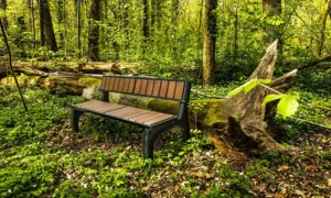 Banco Split Prestige