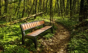 Banco Split Prestige