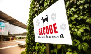 Cartel informativo grande