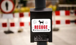 Dispensador de bolsas – Fibi