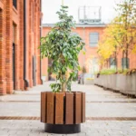 Maceta Municipal – Brno 46L