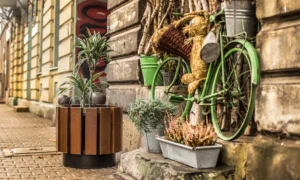 Maceta Municipal – Brno 46L