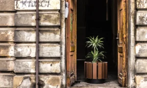 Maceta Municipal – Brno 46L