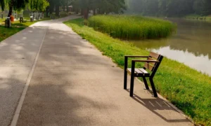 Silla Gladiador con reposabrazos de madera