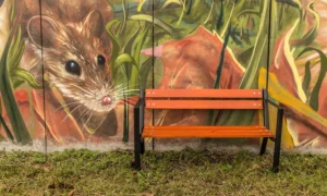 Banco infantil Yogui