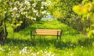 Banco Gladiador Bis con reposabrazos de madera