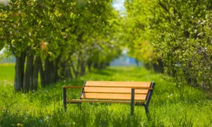 Banco Gladiador Bis con reposabrazos de madera