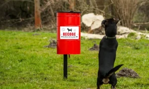 Papelera canina Tobi