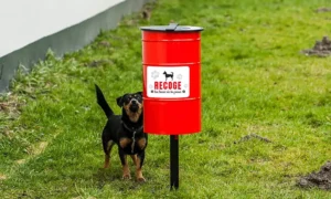 Papelera canina Tobi