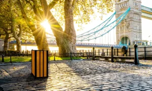 Papelera Aster Bis 75 L