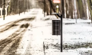 Papelera Municipal II