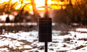 Papelera Municipal II