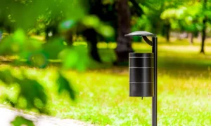 Papelera Municipal II