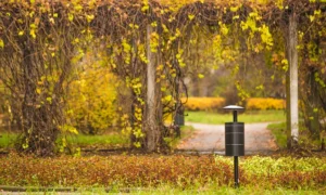 Papelera Municipal II