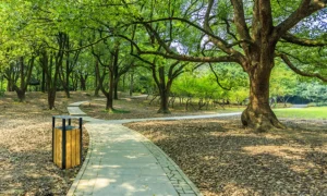 Papelera Single 75 L