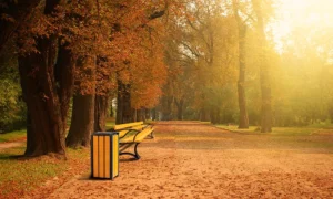 Papelera Single Bis 75 L