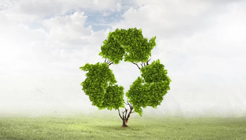 ¿Cómo distribuir de manera efectiva los contenedores de reciclaje en espacios públicos?