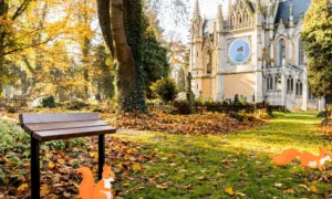 Sentadilla urbana Midas