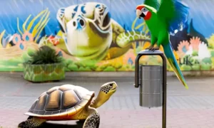 Diseño minimalista de papelera de acero papelera Municipal Pro para parques y plazas