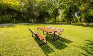 Mesa de picnic madera exterior Dionizos