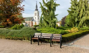 Banco Agora con espacio para sillas de ruedas