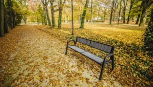 Diseñar parques sostenibles rekord